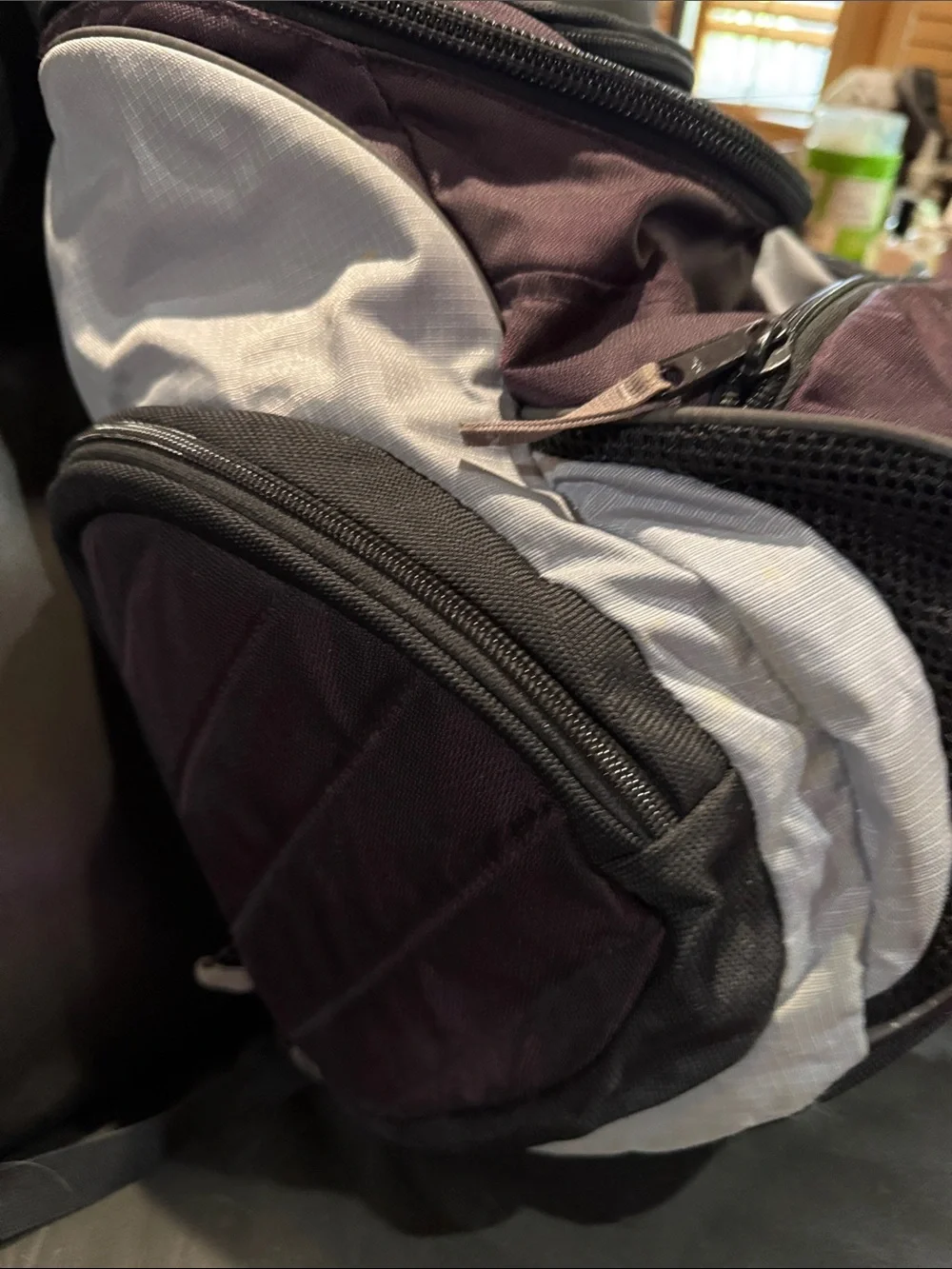L.L. Bean roomy pack